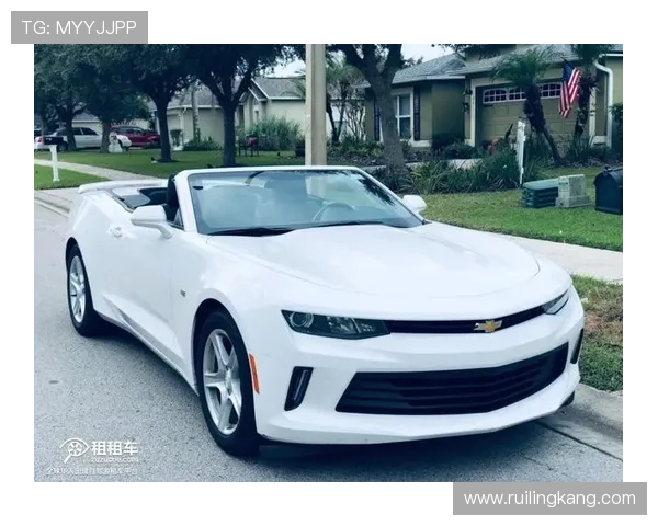 官方迈阿密外租阿维莱斯换国际